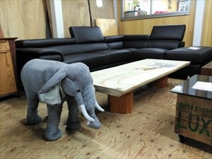 象と無垢板のセンターテーブルと革のソファ